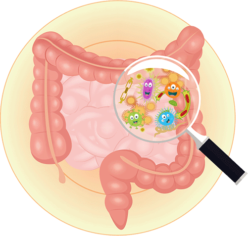 Probióticos, más que sólo aliados del Sistema Digestivo – Nartex Labs